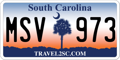 SC license plate MSV973