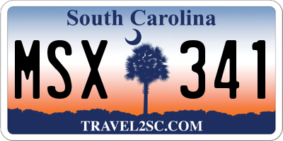 SC license plate MSX341