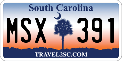 SC license plate MSX391