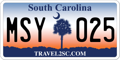 SC license plate MSY025