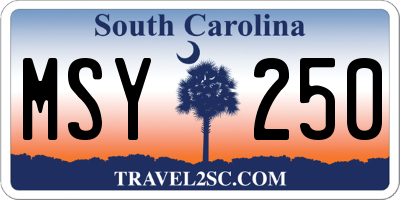 SC license plate MSY250