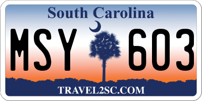 SC license plate MSY603