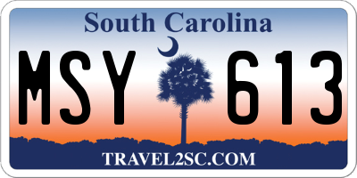 SC license plate MSY613