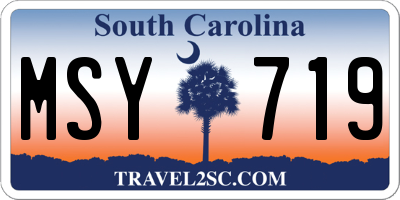 SC license plate MSY719