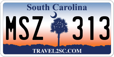 SC license plate MSZ313