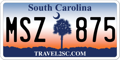 SC license plate MSZ875