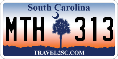 SC license plate MTH313