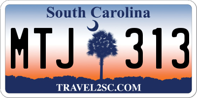 SC license plate MTJ313