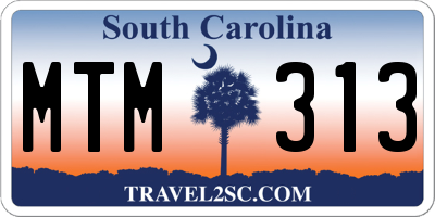 SC license plate MTM313