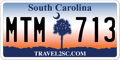 SC license plate MTM713
