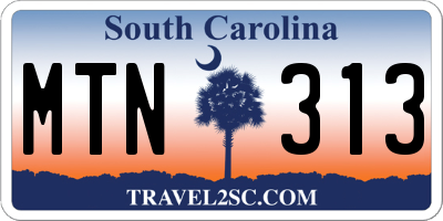 SC license plate MTN313