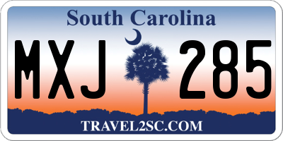 SC license plate MXJ285