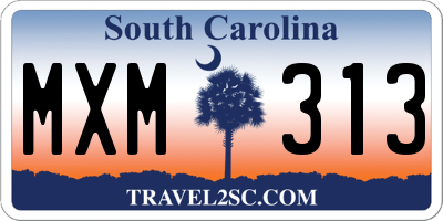 SC license plate MXM313