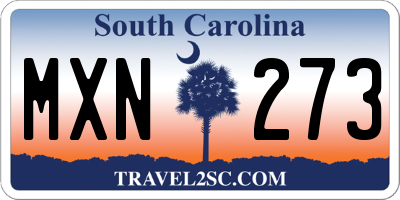 SC license plate MXN273