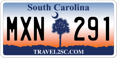 SC license plate MXN291