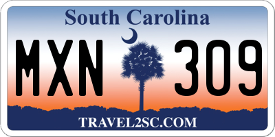 SC license plate MXN309