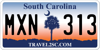 SC license plate MXN313