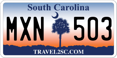 SC license plate MXN503