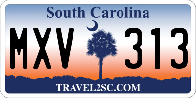 SC license plate MXV313