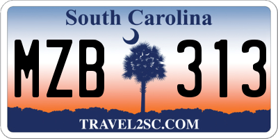 SC license plate MZB313