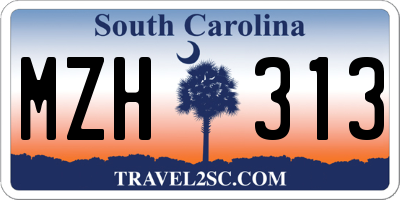 SC license plate MZH313