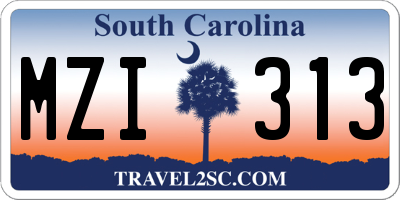 SC license plate MZI313
