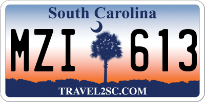 SC license plate MZI613