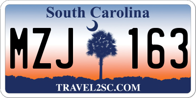 SC license plate MZJ163