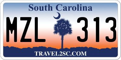 SC license plate MZL313