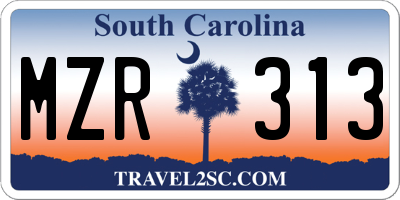 SC license plate MZR313
