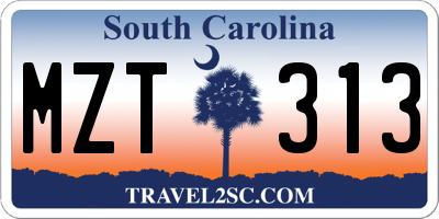 SC license plate MZT313