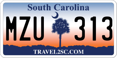 SC license plate MZU313