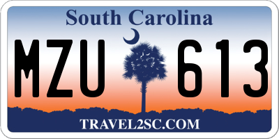SC license plate MZU613