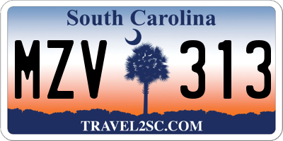 SC license plate MZV313