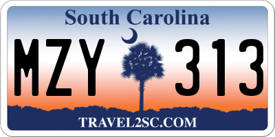 SC license plate MZY313