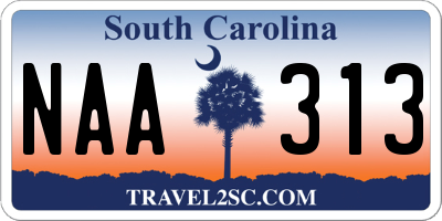 SC license plate NAA313