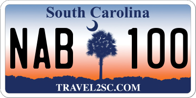 SC license plate NAB100