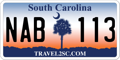 SC license plate NAB113