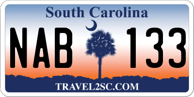 SC license plate NAB133
