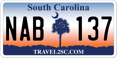 SC license plate NAB137