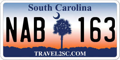 SC license plate NAB163