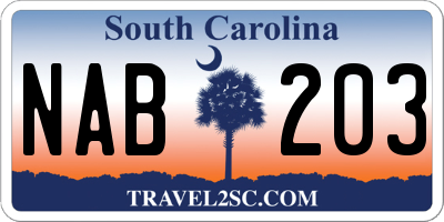SC license plate NAB203