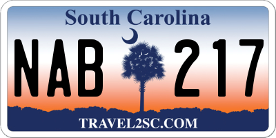 SC license plate NAB217