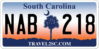 SC license plate NAB218
