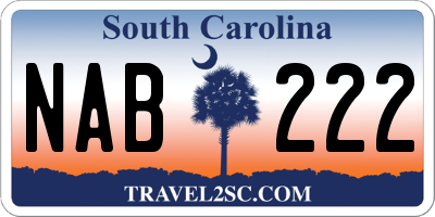 SC license plate NAB222