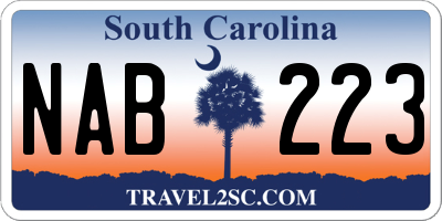 SC license plate NAB223
