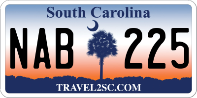 SC license plate NAB225