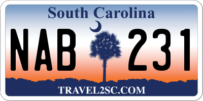 SC license plate NAB231