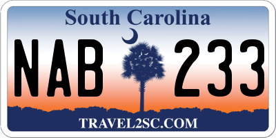 SC license plate NAB233