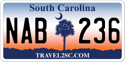 SC license plate NAB236